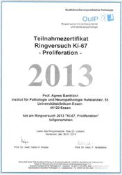 Zertifikat